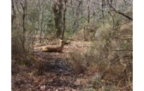 Concours 3D Saumur 03/09/2017