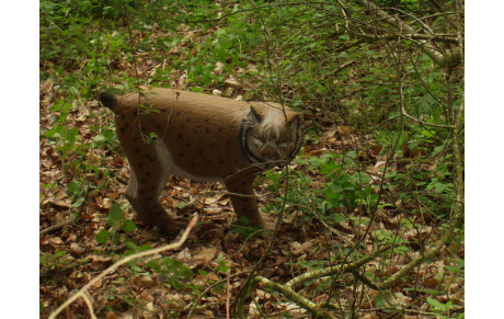 Nos concours pour la saison 2017-2018