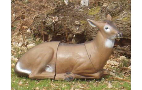 Concours 3D Peillac le 24 Juin 2018