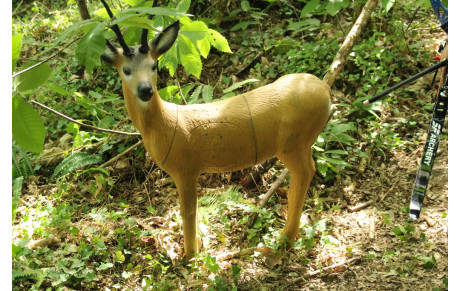 Peillac Concours 3D du 24 juin 2018