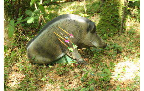 Concours 3D Sarzeau 8/07/2018